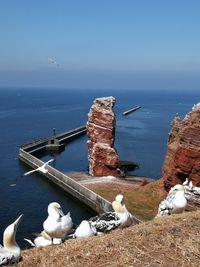 Helgoland